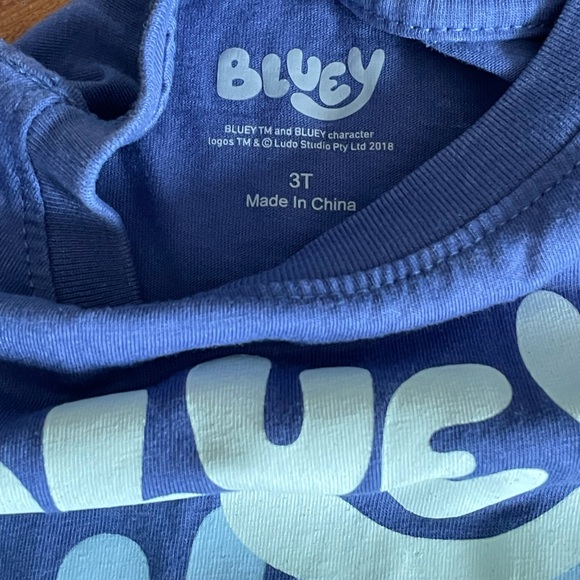 Bluey Toddler 3T Outfit Set Tee + Sweatshirt Licensed Ludo Studio Boys Girls - Picture 2 of 4